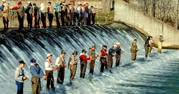 Rows of people fish along a dam in the Ozarks